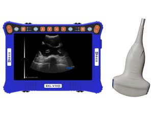 portable veterinary ultrasound equipment