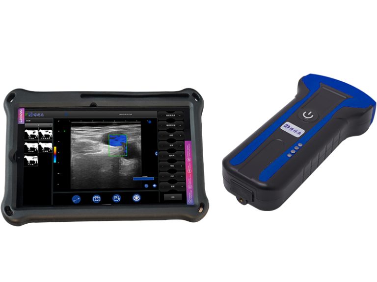 wireless veterinary ultrasound