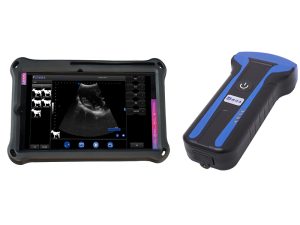 wireless veterinary ultrasound equipment
