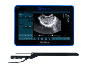 veterinary ultrasound