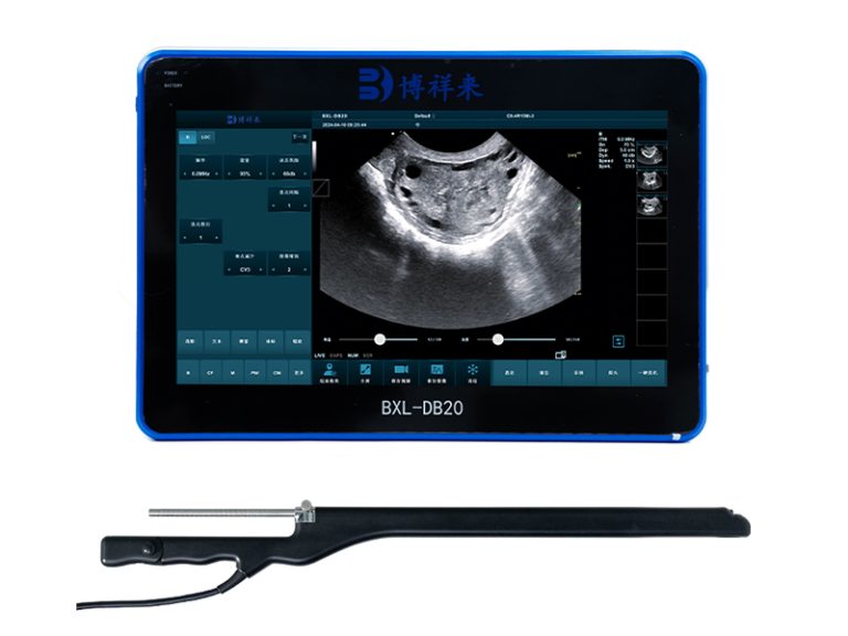 veterinary ultrasound