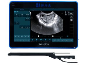 Color Doppler Cattle OPU veterinary ultrasound Equipment