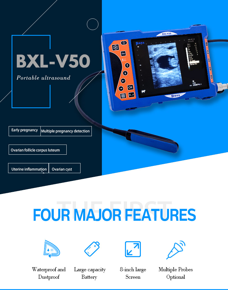 Portable Veterinary Ultrasound Scanner