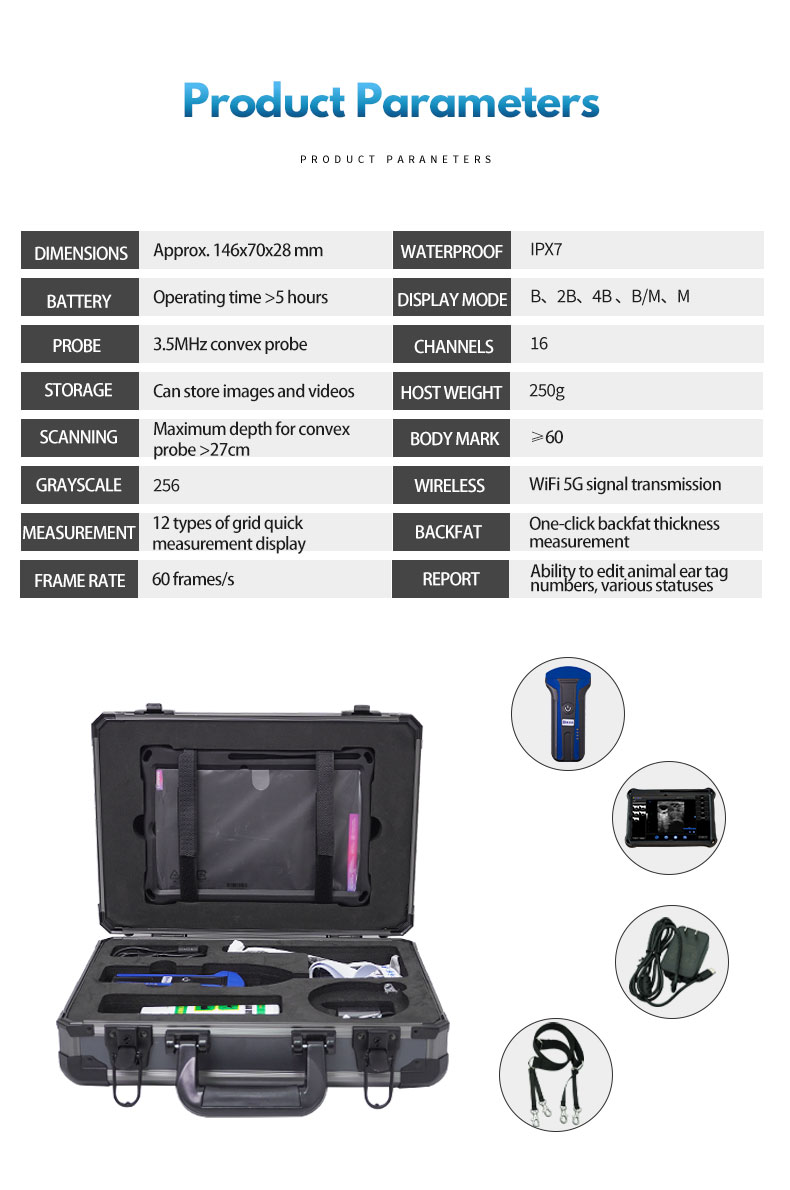 Portable Wireless Handles Veterinary Ultrasound System For Sheep BXL-S101