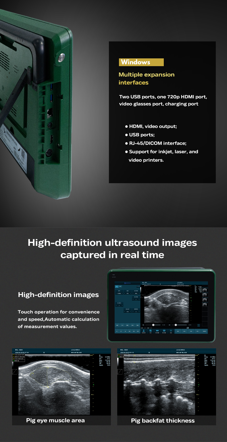 Veterinary Color Doppler Ultrasound Diagnostic Instrument BXL-DZ20