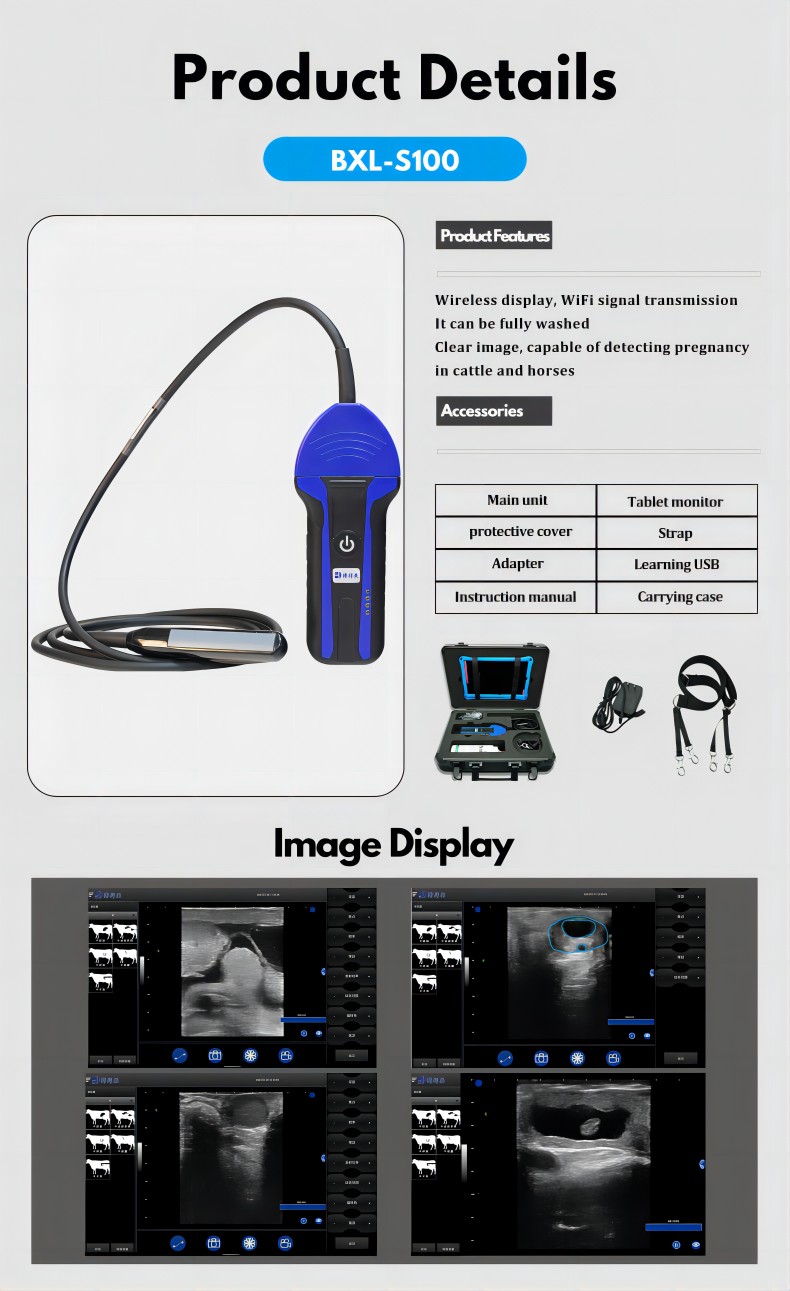 Portable Wireless Veterinary Ultrasound System BXL-S100