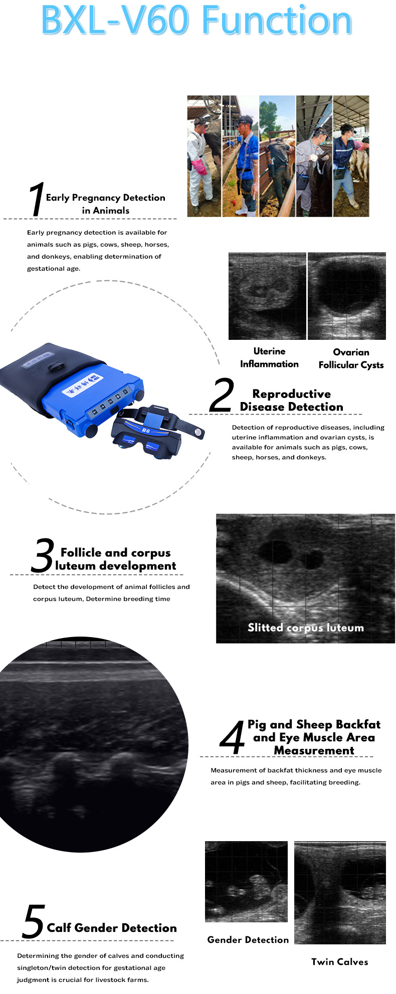 Portable Ultrasound Machine with Video Glasses