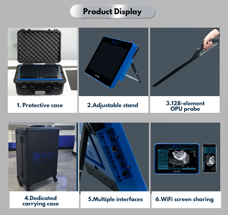 Color Doppler Cattle OPU veterinary ultrasound Equipment BXL-DB20