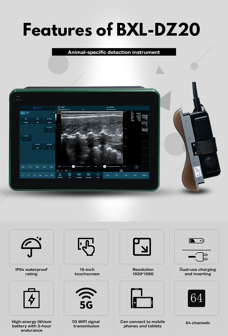 Veterinary Color Doppler Ultrasound Diagnostic Instrument BXL-DZ20