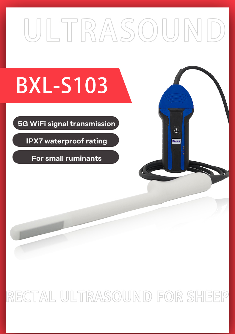 Portable Wireless Veterinary Ultrasound instrument For Sheep BXL-S103