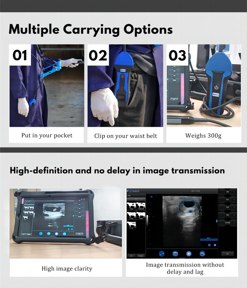 Portable Wireless Veterinary Ultrasound System BXL-S100