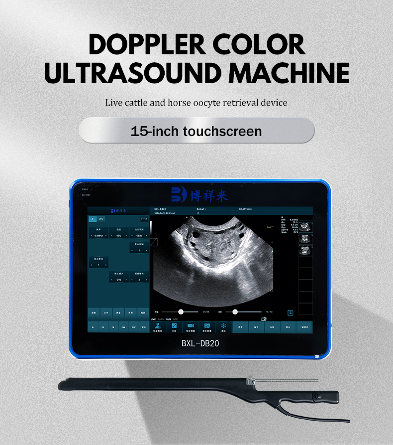 Color Doppler Cattle OPU veterinary ultrasound Equipment BXL-DB20