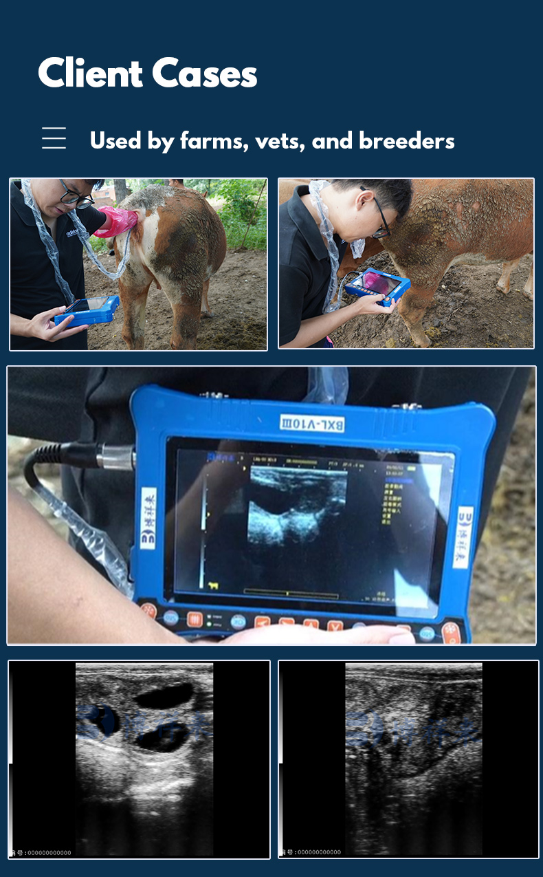 Portable veterinary ultrasound equipment BXL -V10Ⅲ