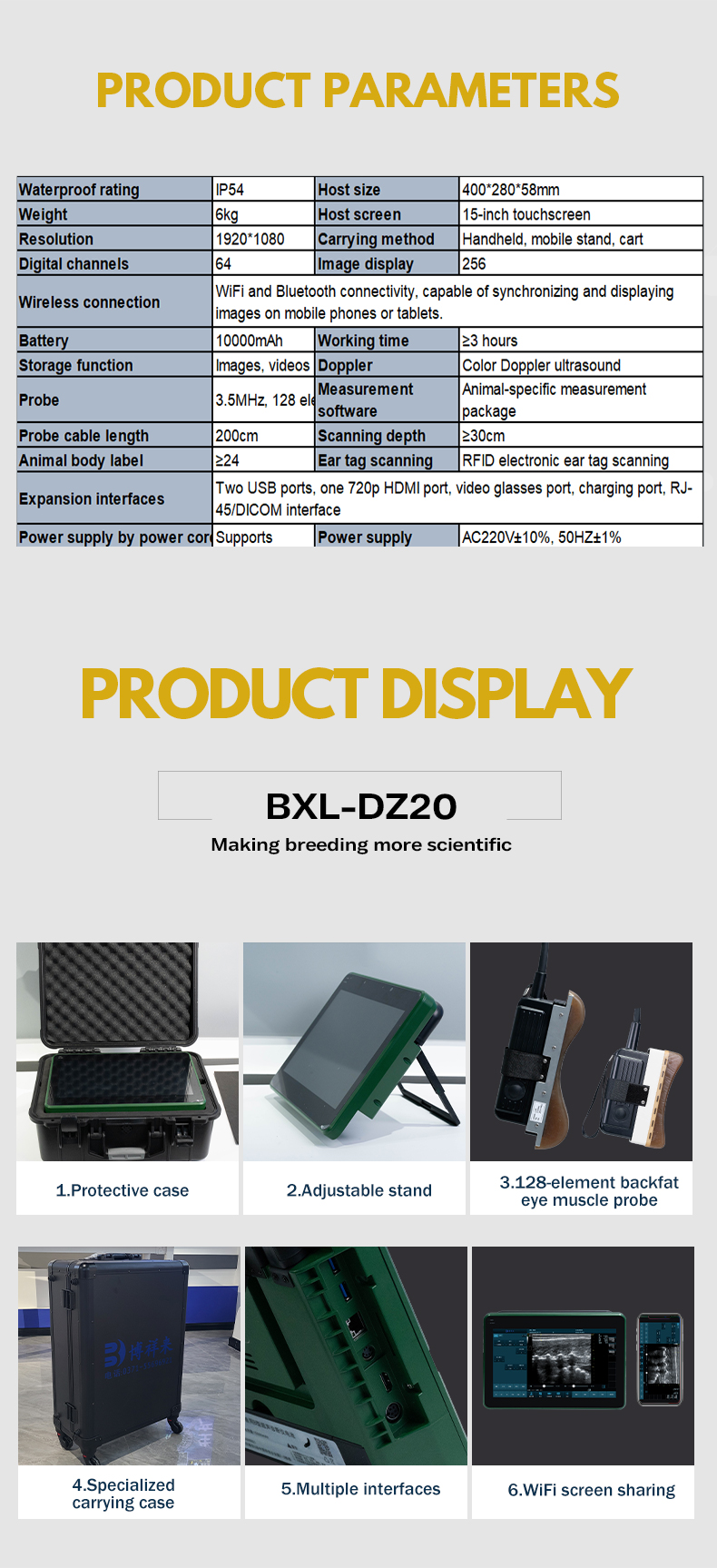 Veterinary Color Doppler Ultrasound Diagnostic Instrument BXL-DZ20