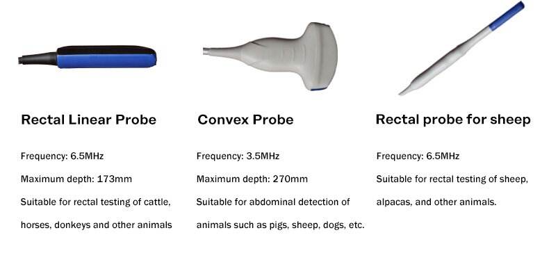 Portable Veterinary Ultrasound Scanner