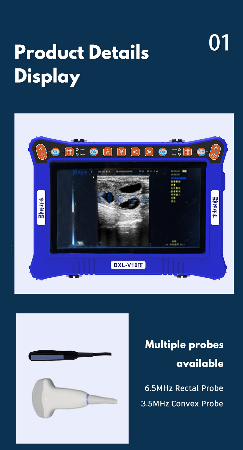 Portable veterinary ultrasound equipment BXL -V10Ⅲ