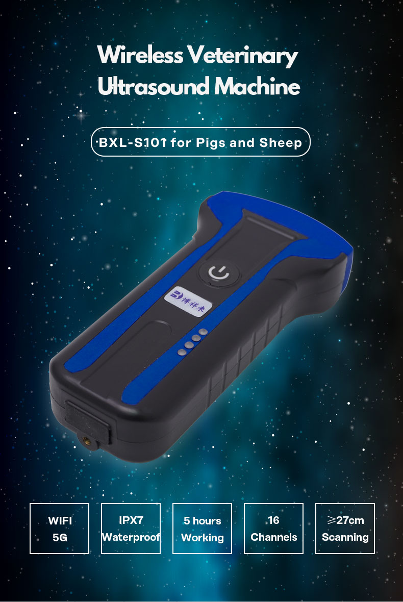 Portable Wireless Handles Veterinary Ultrasound System For Sheep BXL-S101