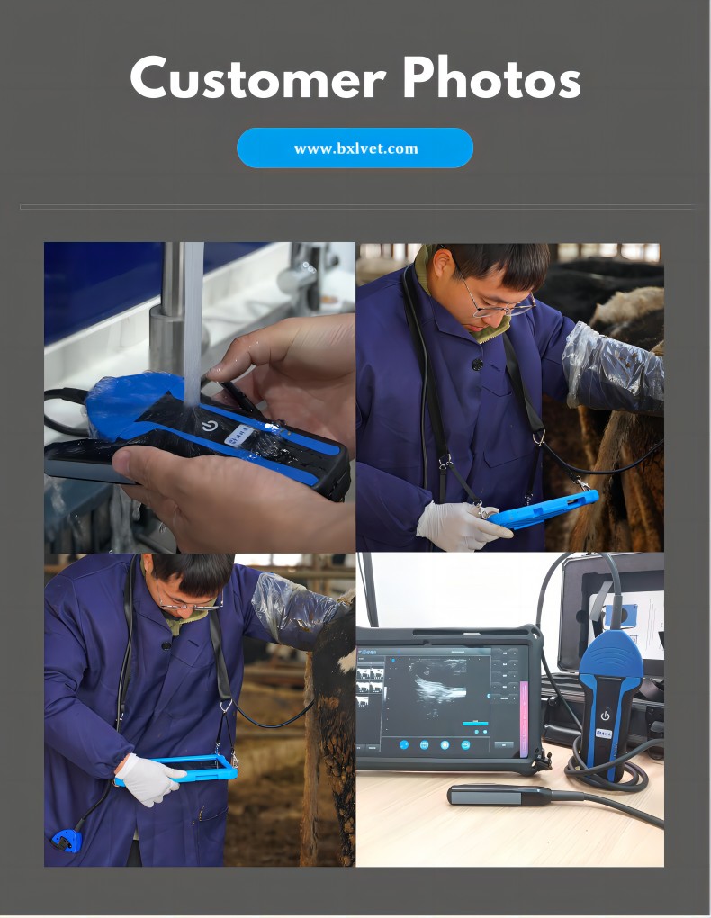 Portable Wireless Veterinary Ultrasound System BXL-S100