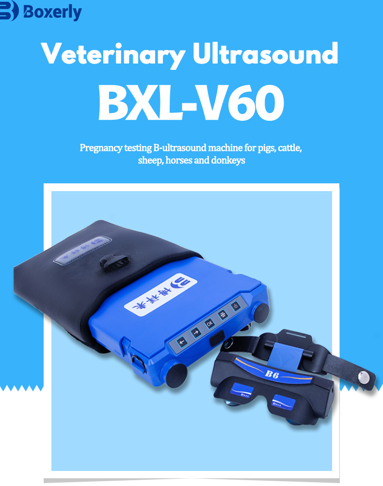 Portable Ultrasound Machine with Video Glasses