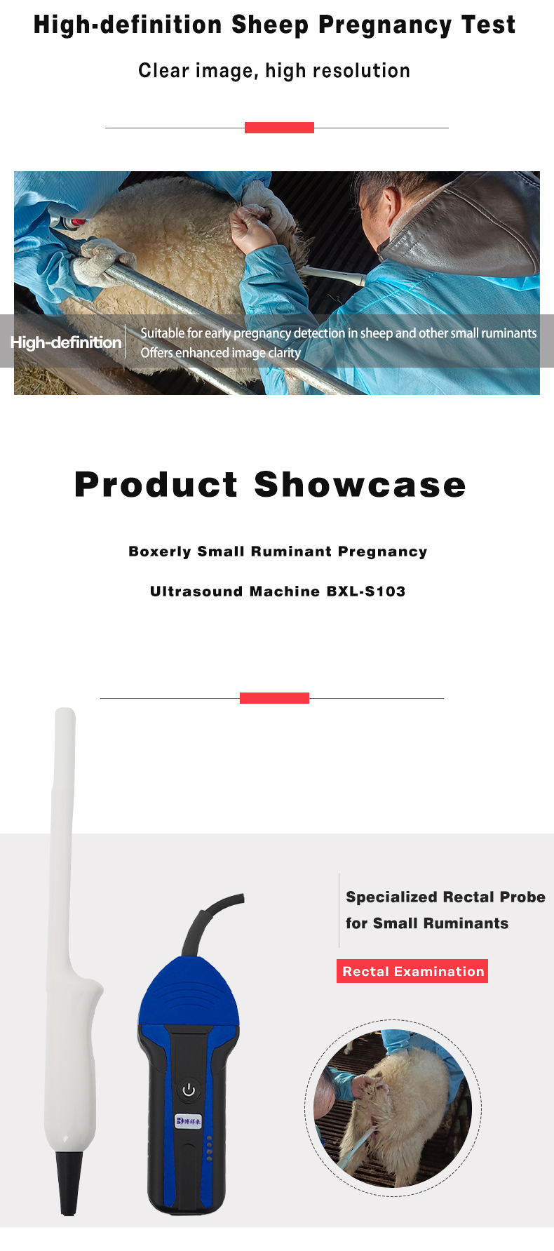 Portable Wireless Veterinary Ultrasound instrument For Sheep BXL-S103