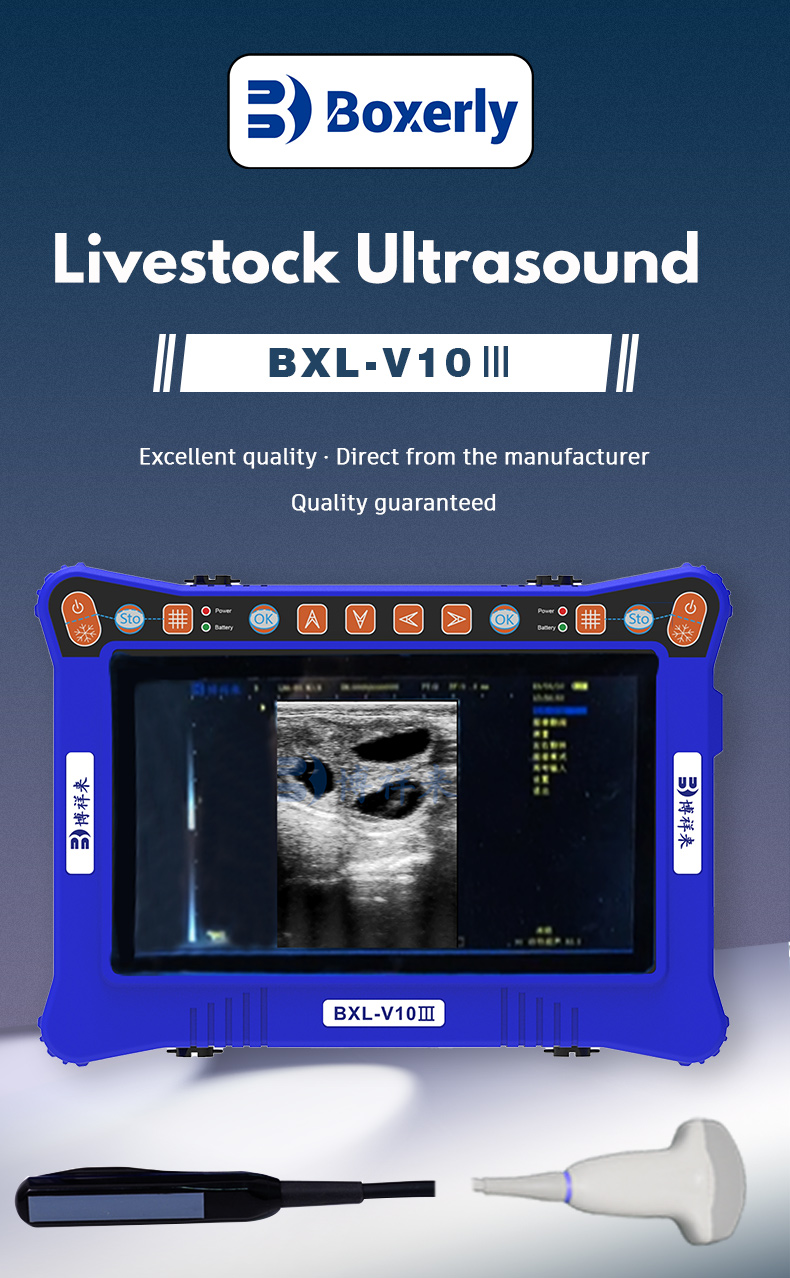 Portable veterinary ultrasound equipment BXL -V10Ⅲ