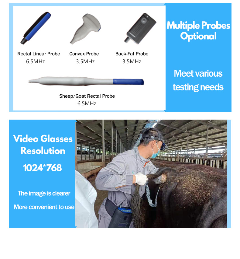 Portable Ultrasound Machine with Video Glasses
