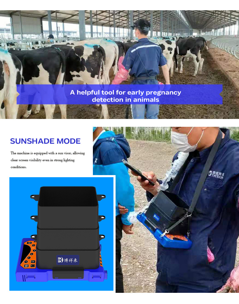 Portable Veterinary Ultrasound Scanner