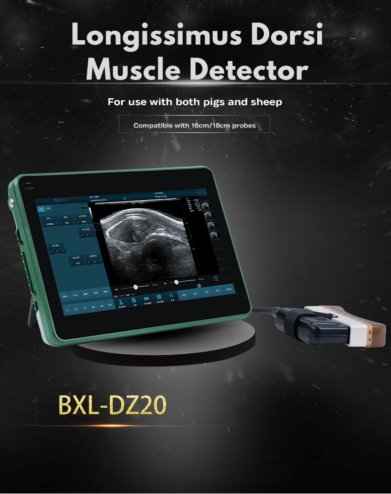 Veterinary Color Doppler Ultrasound Diagnostic Instrument BXL-DZ20