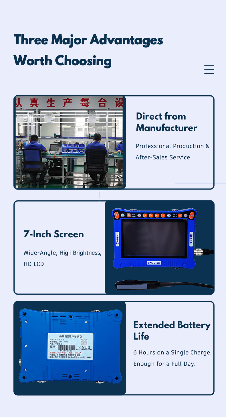 Portable veterinary ultrasound equipment BXL -V10Ⅲ