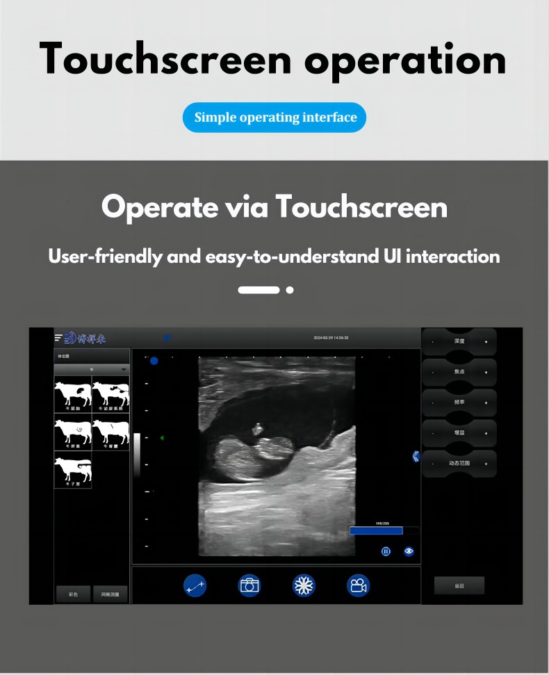 Portable Wireless Veterinary Ultrasound System BXL-S100